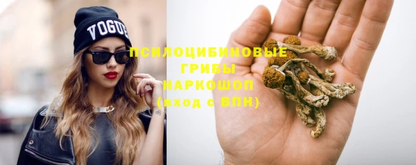 шишки Арсеньев