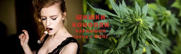 стаф Майский
