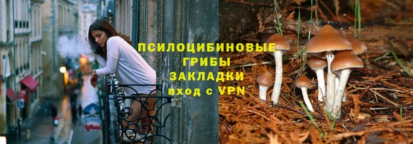герыч Алексин